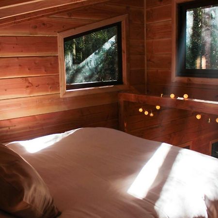 Cabanas Bosque Milenario Coñaripe Exterior foto