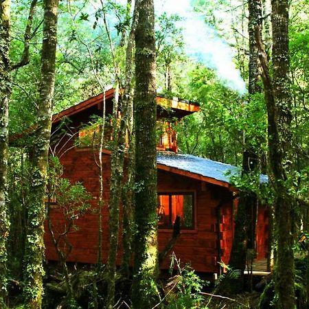 Cabanas Bosque Milenario Coñaripe Exterior foto