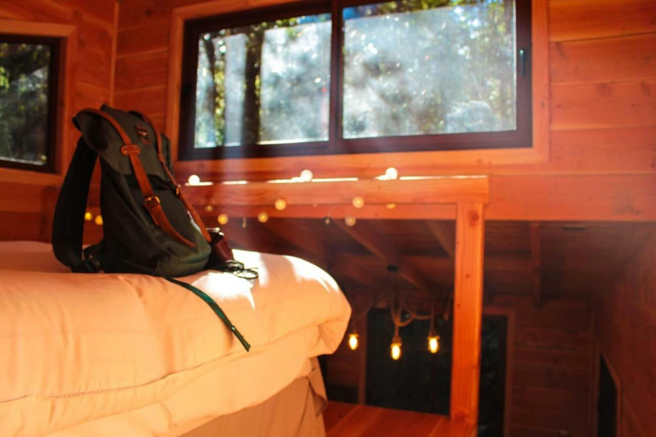 Cabanas Bosque Milenario Coñaripe Exterior foto