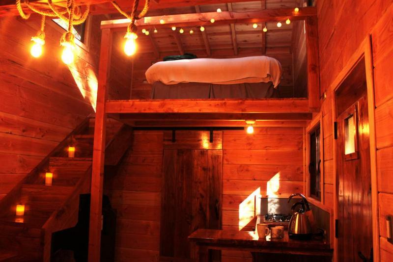 Cabanas Bosque Milenario Coñaripe Exterior foto