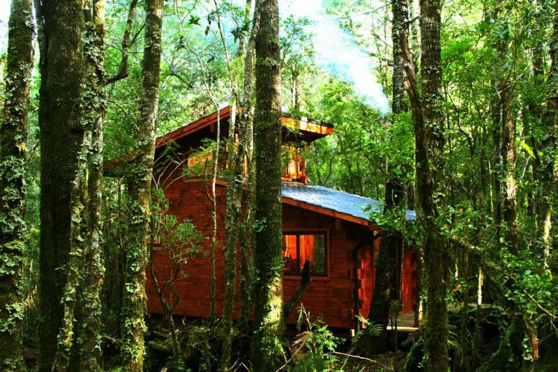Cabanas Bosque Milenario Coñaripe Exterior foto