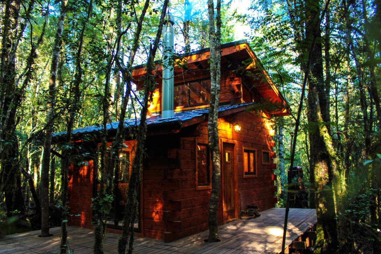 Cabanas Bosque Milenario Coñaripe Exterior foto