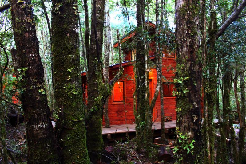 Cabanas Bosque Milenario Coñaripe Exterior foto